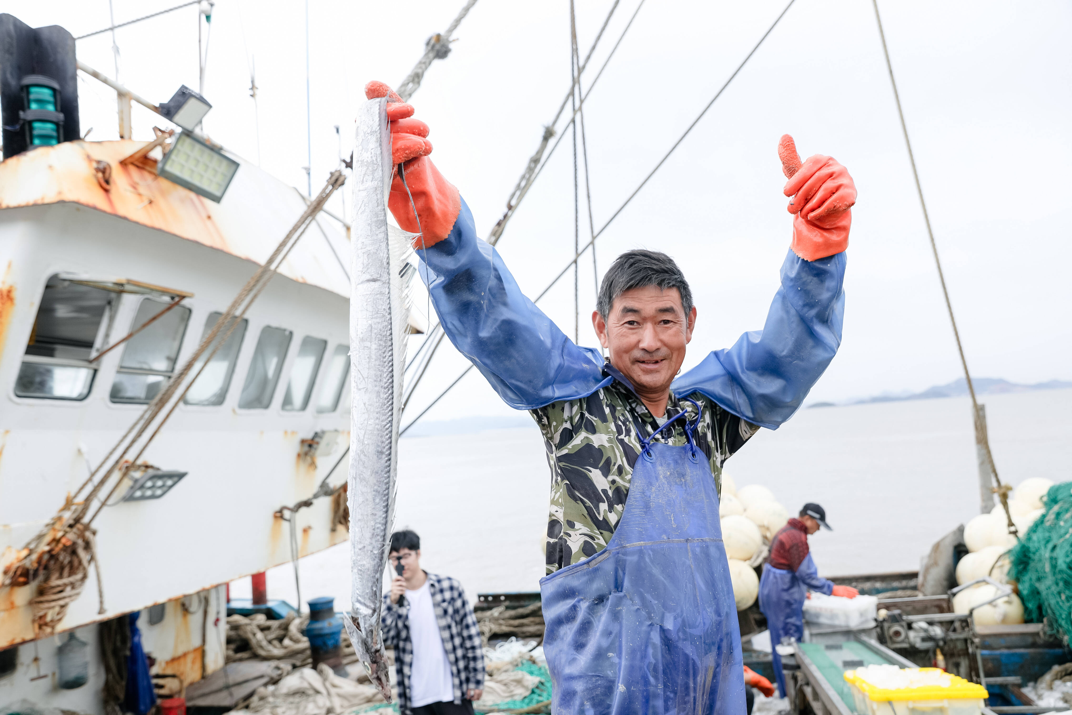 舟山带鱼消费季集中开启 市场价格上涨 京东京喜再便宜15% 带鱼自由将至