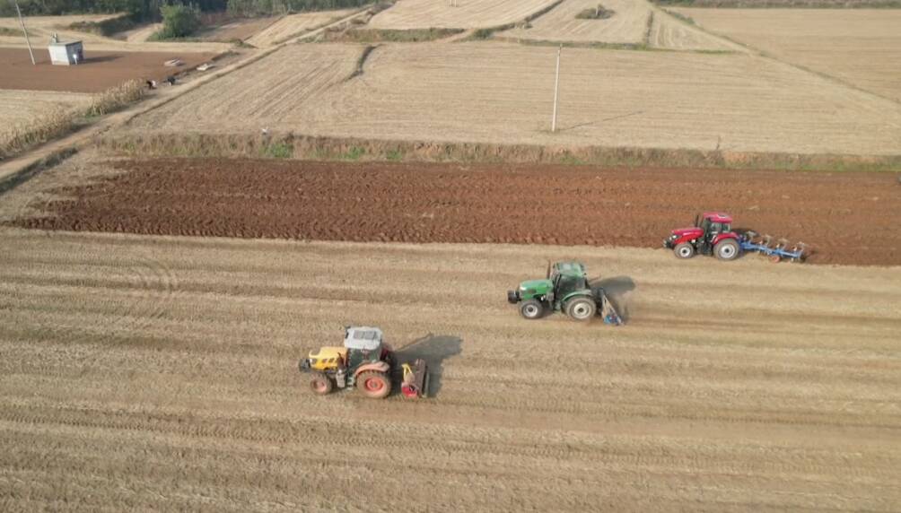 肥城:“农技+农机”协同效能 推动秋播提质提速