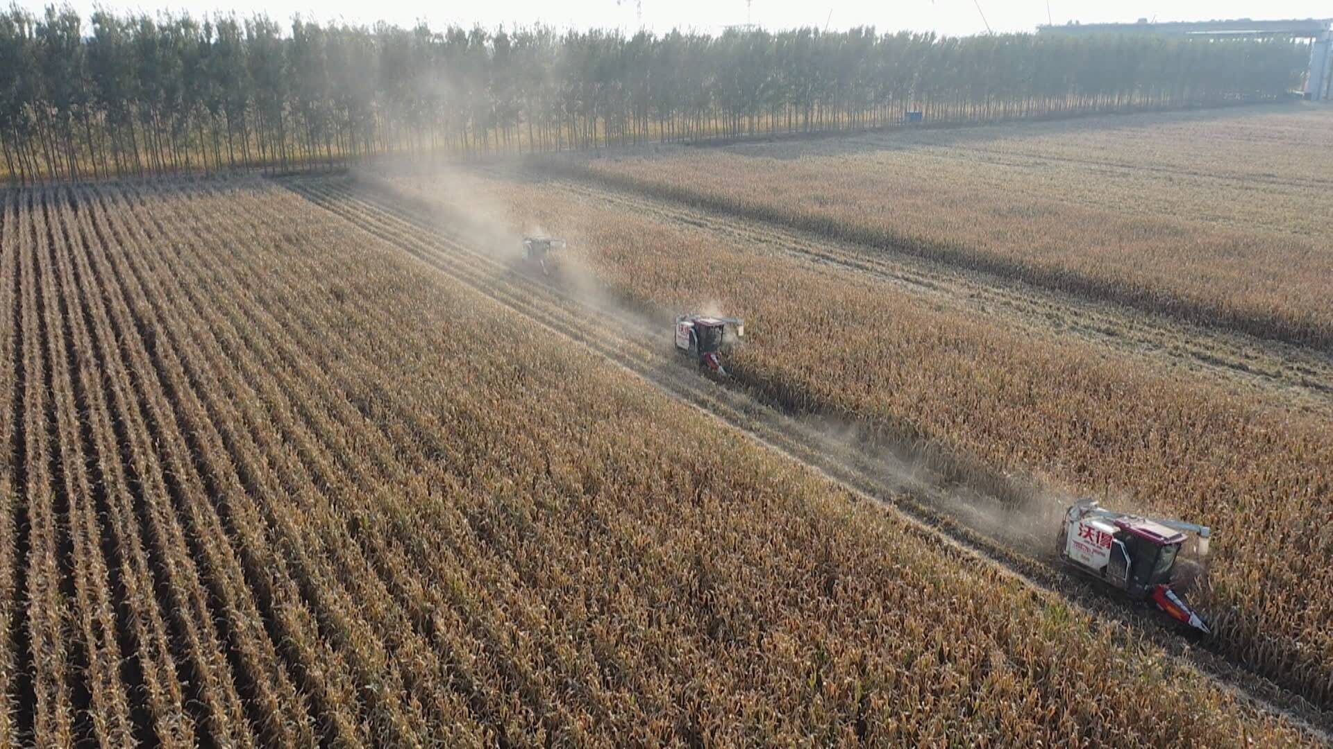 联播关键词｜全力以赴战“三秋”