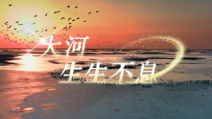 沿着黄河遇见海丨大河,生生不息