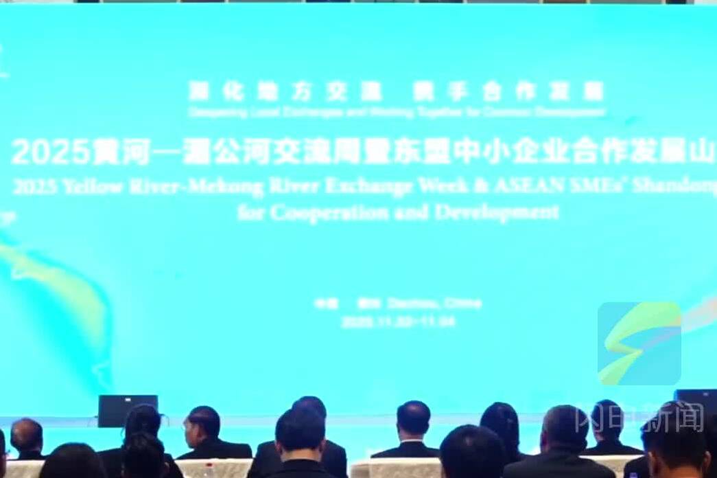 2025黄河—湄公河交流周暨东盟中小企业合作发展山东行活动在德州举行