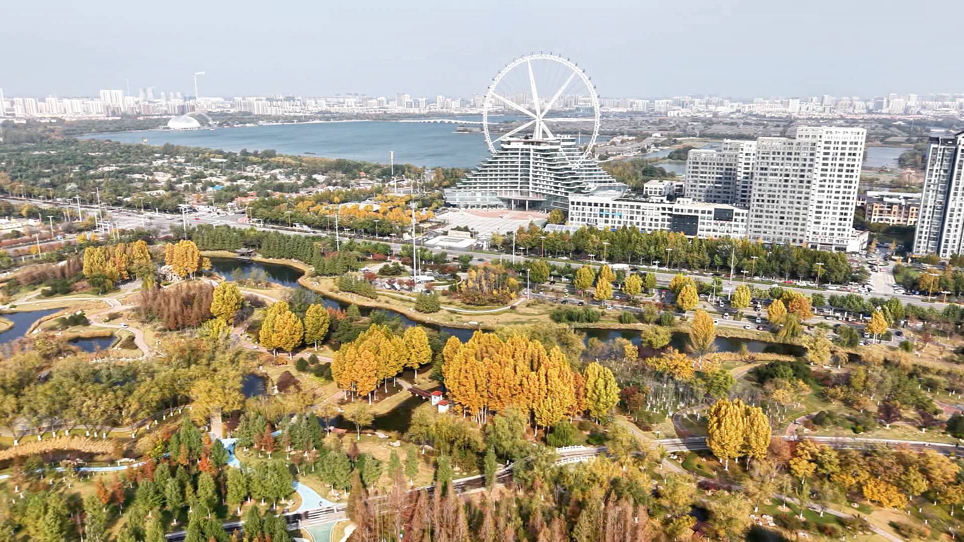 聊城：秋染全城 一帧一画皆是景