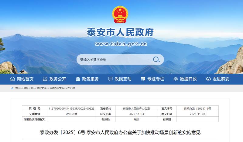 泰安发布加快推动场景创新实施意见 构建“124”体系培育新质生产力