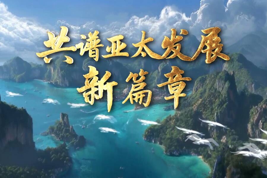时政纪录片丨共谱亚太发展新篇章——习近平主席出席亚太经合组织第三十二次领导人非正式会议并对韩国进行国事访问纪实
