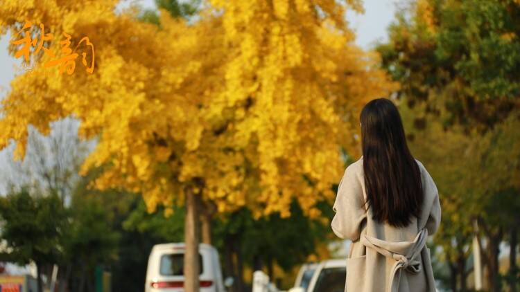 宁阳的深秋打翻了调色盘！转角间全是惊喜