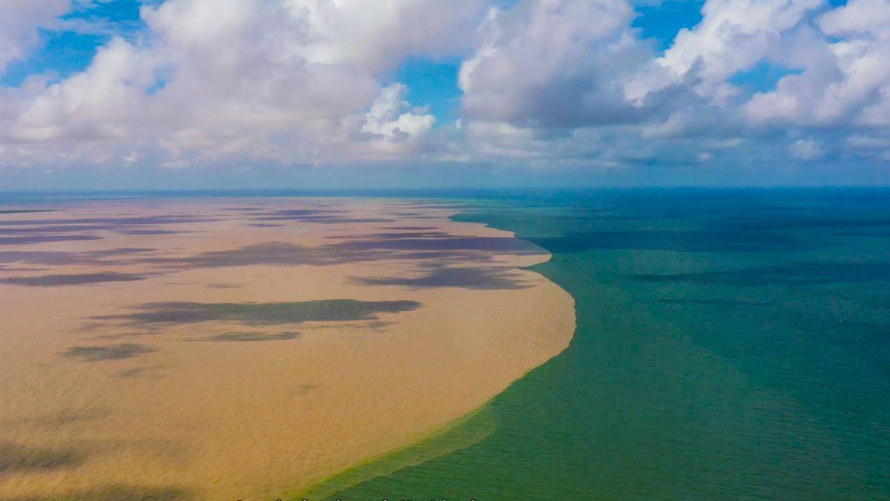 沿着黄河遇见海丨大河奔流润齐鲁 山东推动黄河重大国家战略落地落实