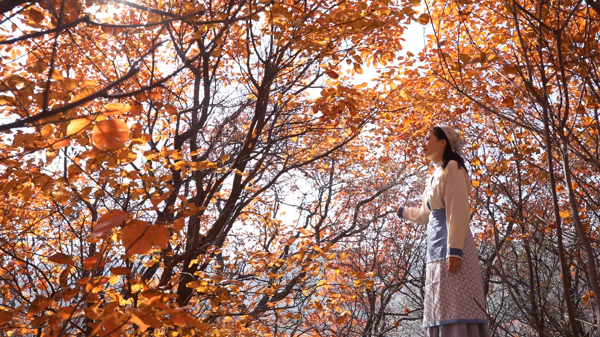 云上秋色 山下烟火 共赴红叶柿岩