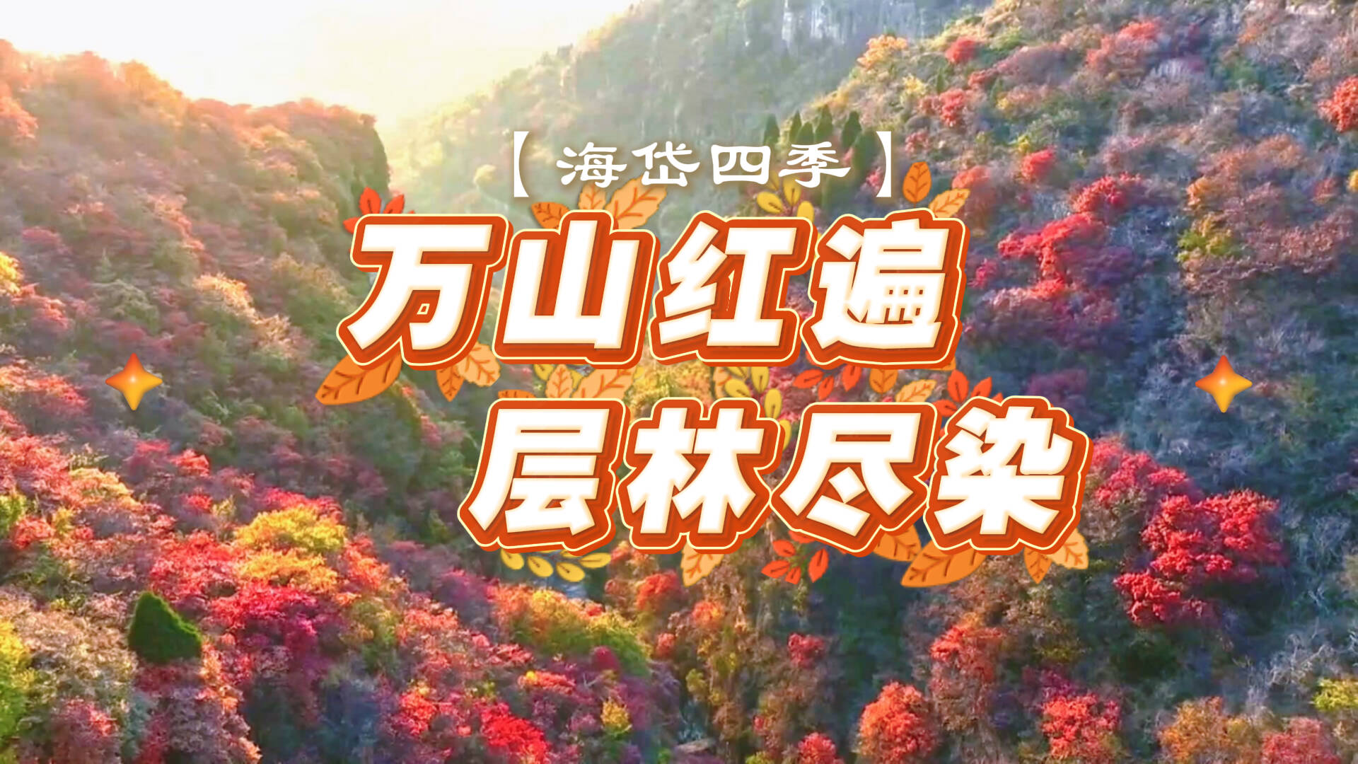 海岱四季｜万山红遍 层林尽染