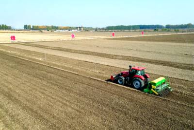 全市大面积秋粮收获基本结束！青岛“三秋”生产重点由秋收转向秋种