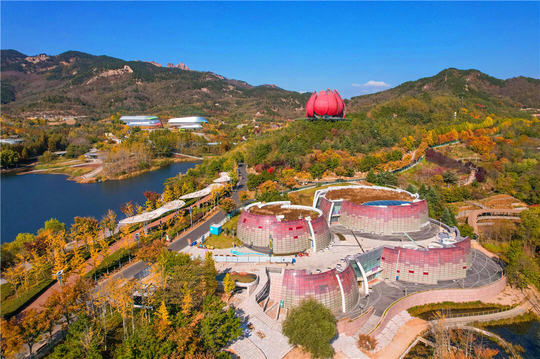 青岛世博园景区色彩斑斓 绘就别样画卷