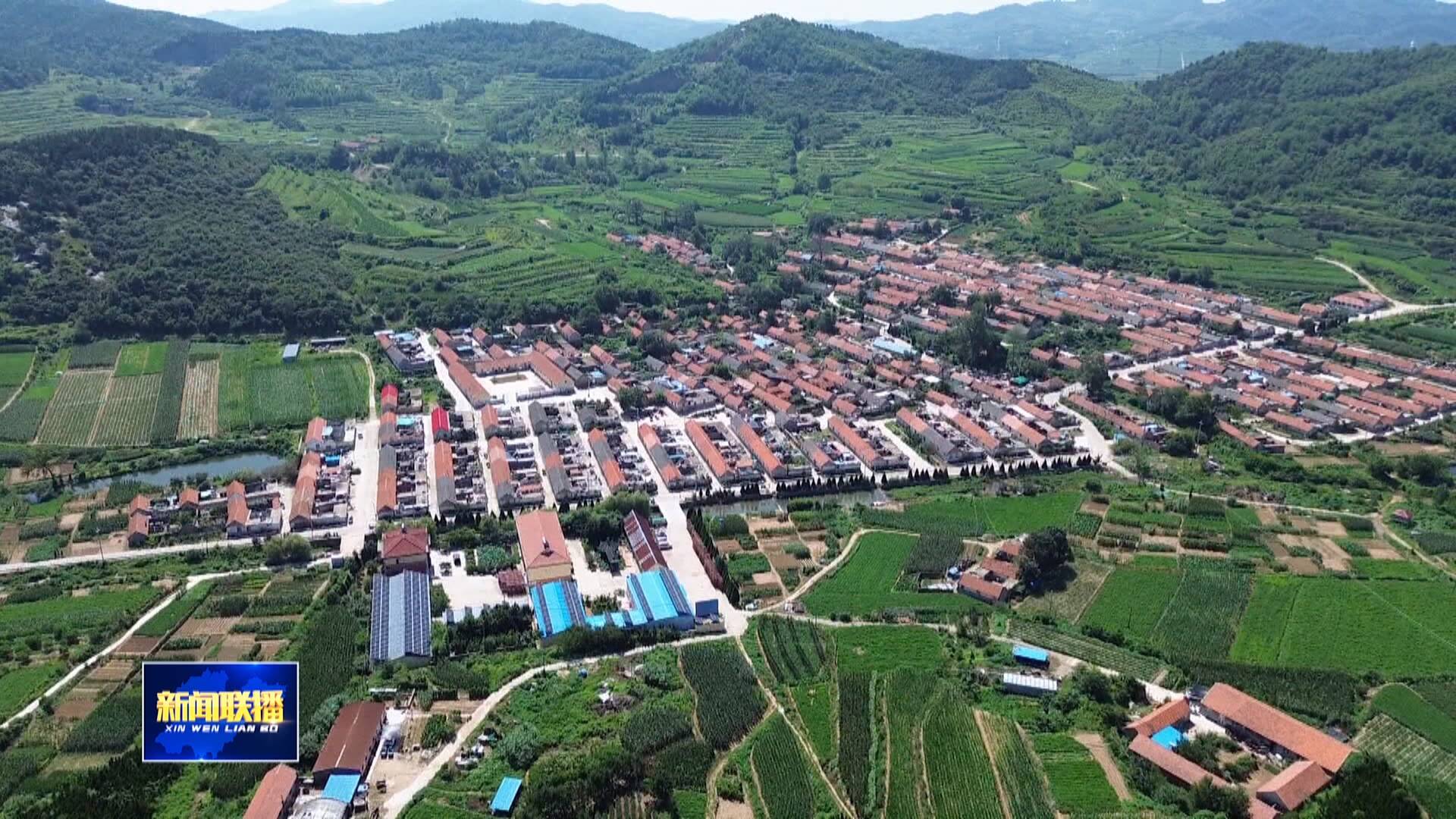 【学习贯彻党的二十届四中全会精神】从“一村兴”到“一片强”