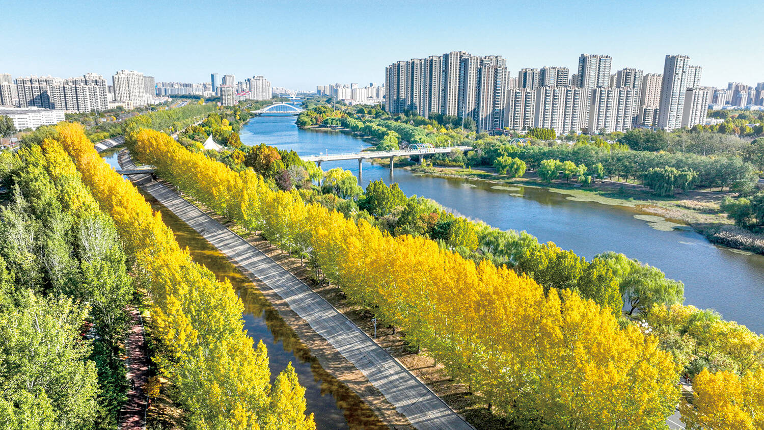 鎏金秋色惹人醉