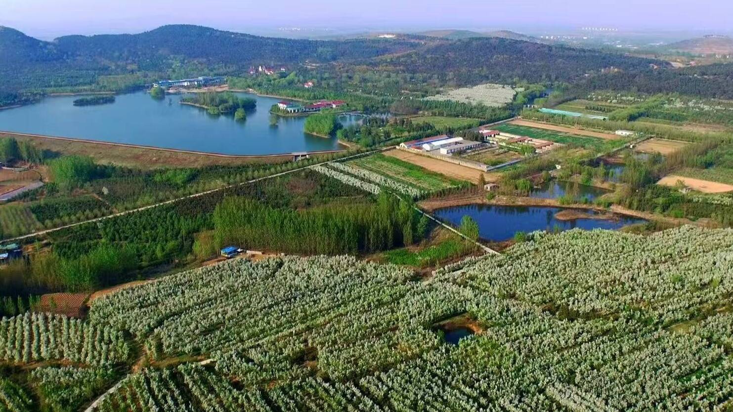 标准化引领 新型城镇化“半程模式”赋能高质量发展