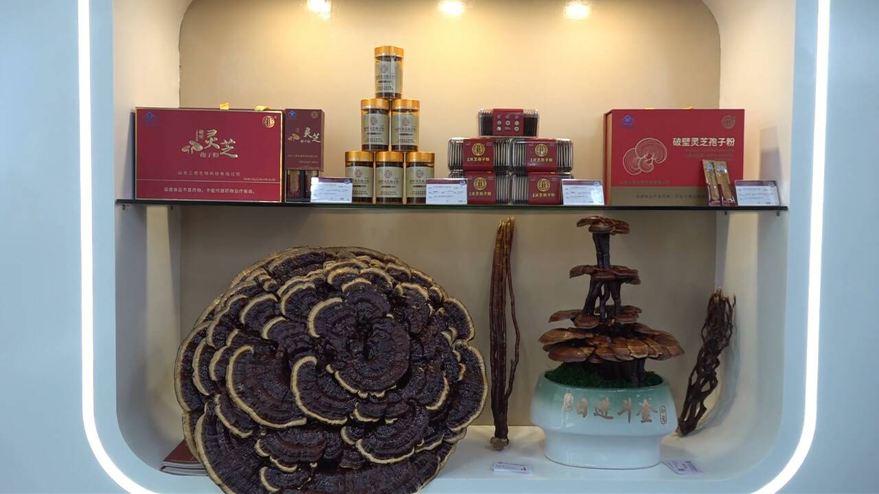 赴东方之约 享交流互鉴 聊城2家非遗技艺企业亮相第八届进博会