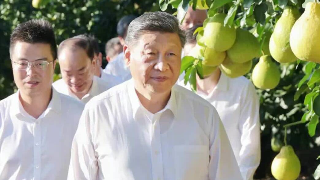 近镜头|总书记格外关心乡村“土特产”