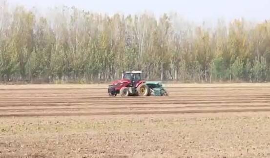 《山东新闻联播》聚焦聊城：村里来了“田保姆”