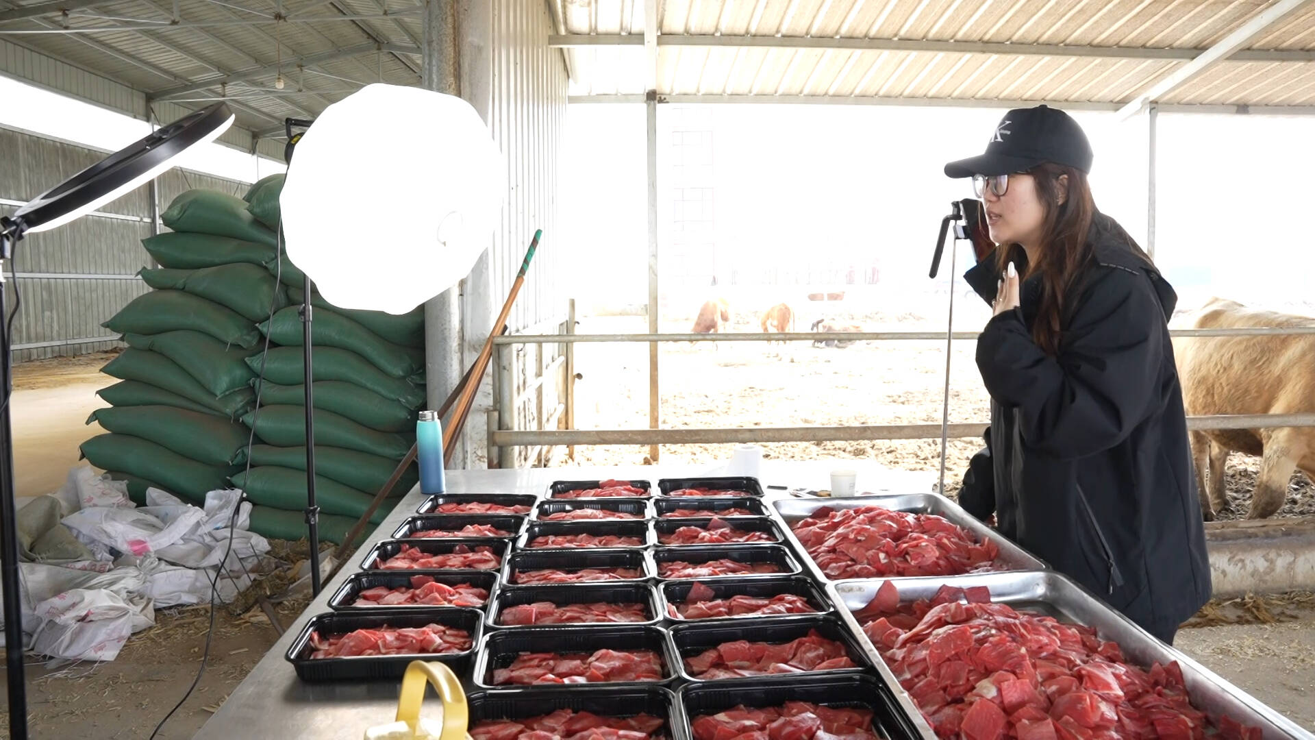 关注“双十一”｜看一家传统屠宰企业如何做到硬核爆单