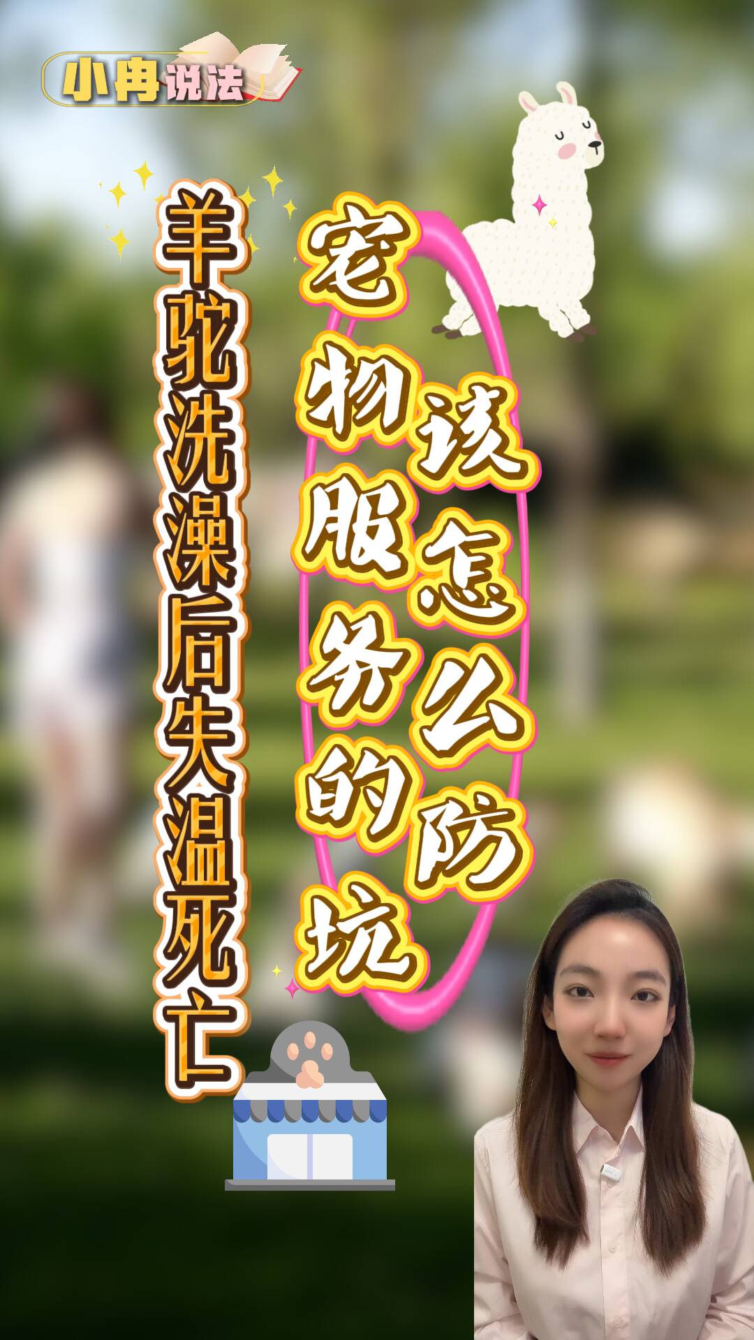 小冉说法|羊驼洗澡后失温死亡:宠物服务的坑该怎么防?