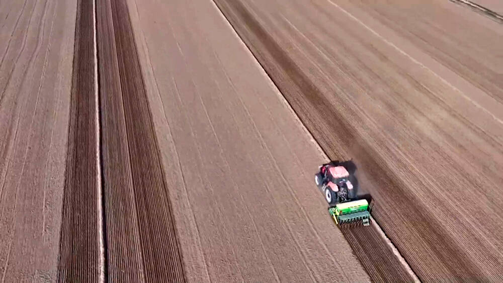 德州市“三秋”生产基本完成 小麦播种835万多亩