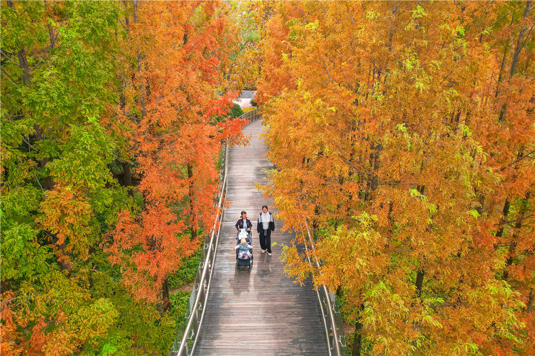 青岛：初冬时节 城市美景如画