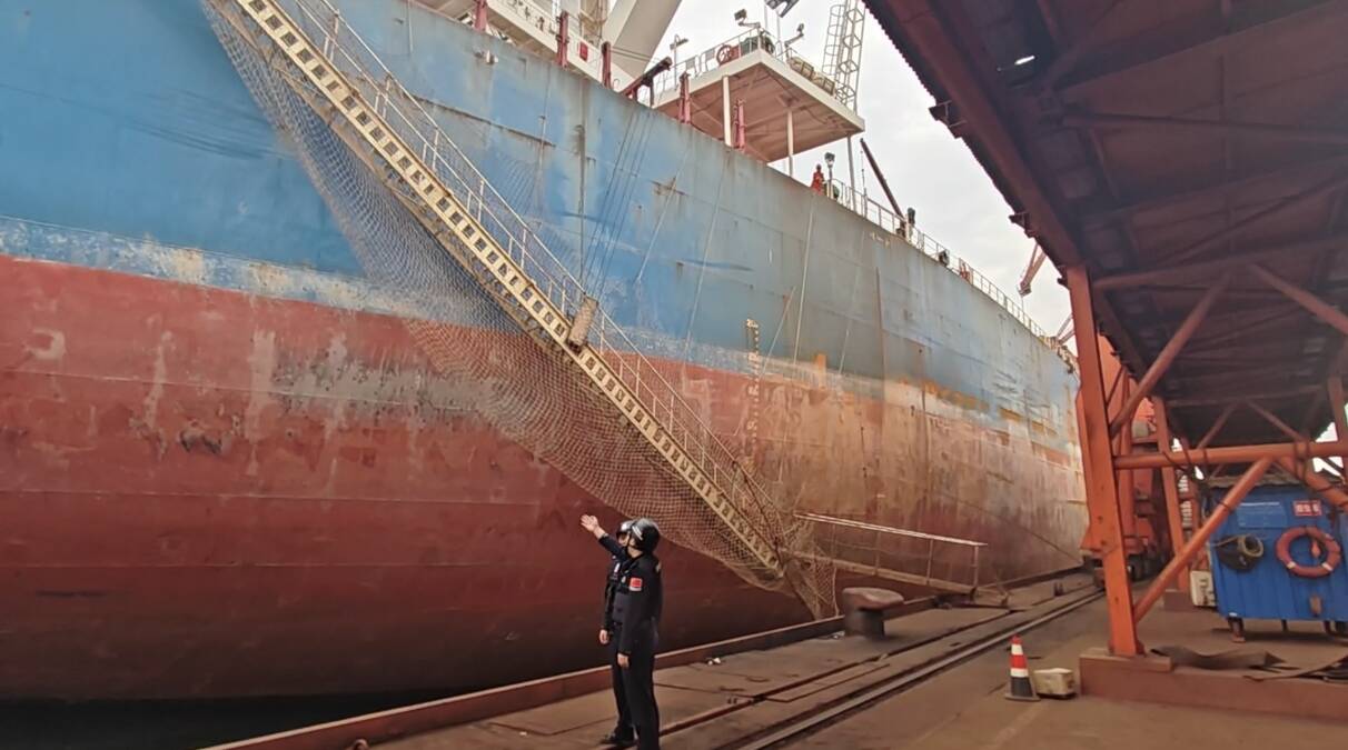 新航线+1！青岛港董家口港区成功开辟首条几内亚新航线