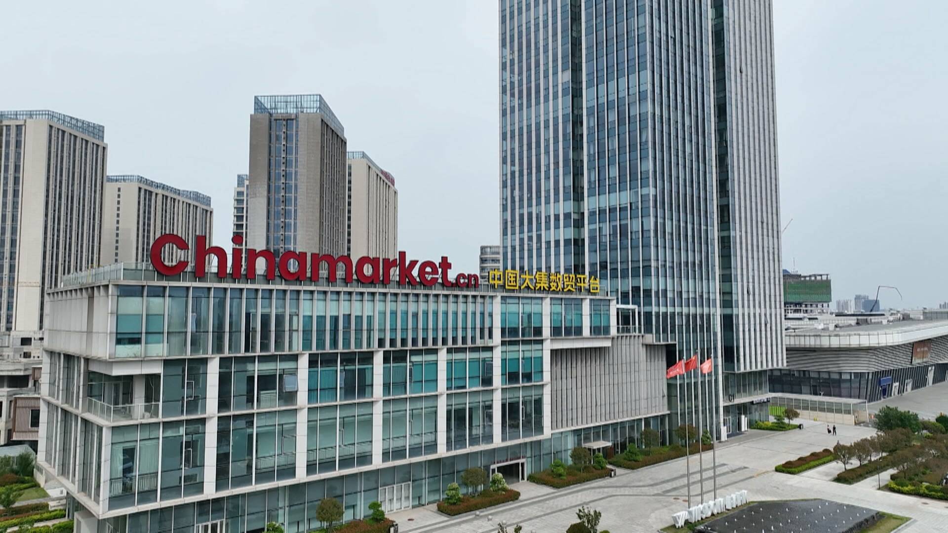 联播关键词｜“追风鸟”出海记