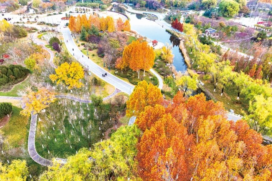 新聊新景丨诗意初冬