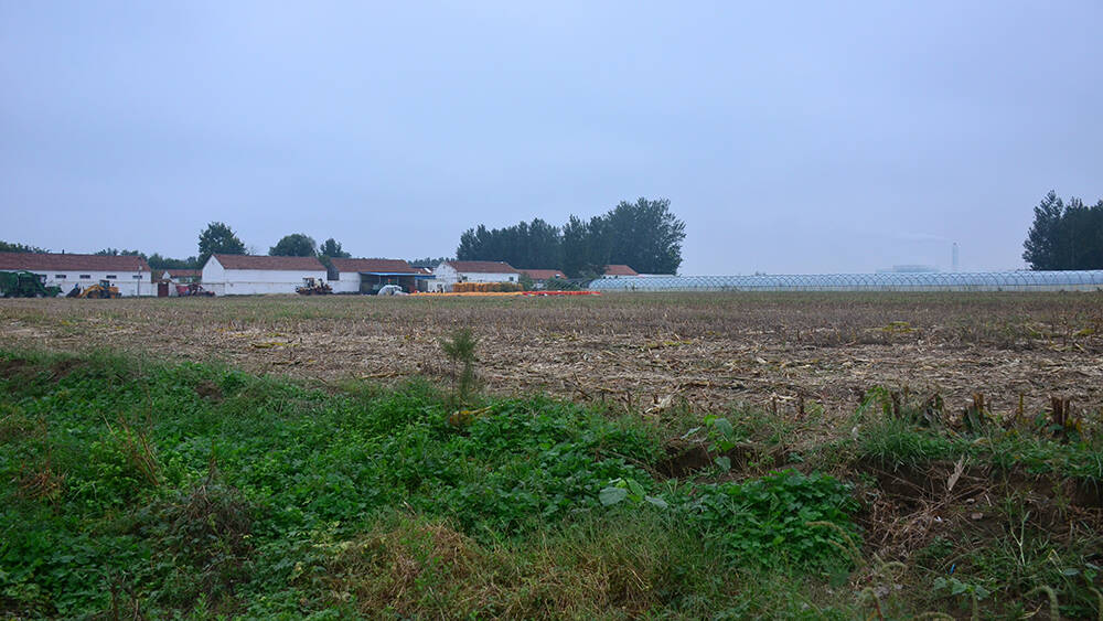 提升抵御自然灾害能力 德州启动低洼易涝农田治理