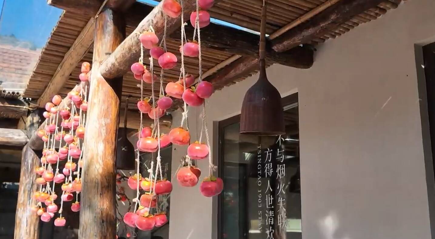 片区化推进乡村振兴的山东实践丨 流清湾片区：山海相拥间的“青岛样板”