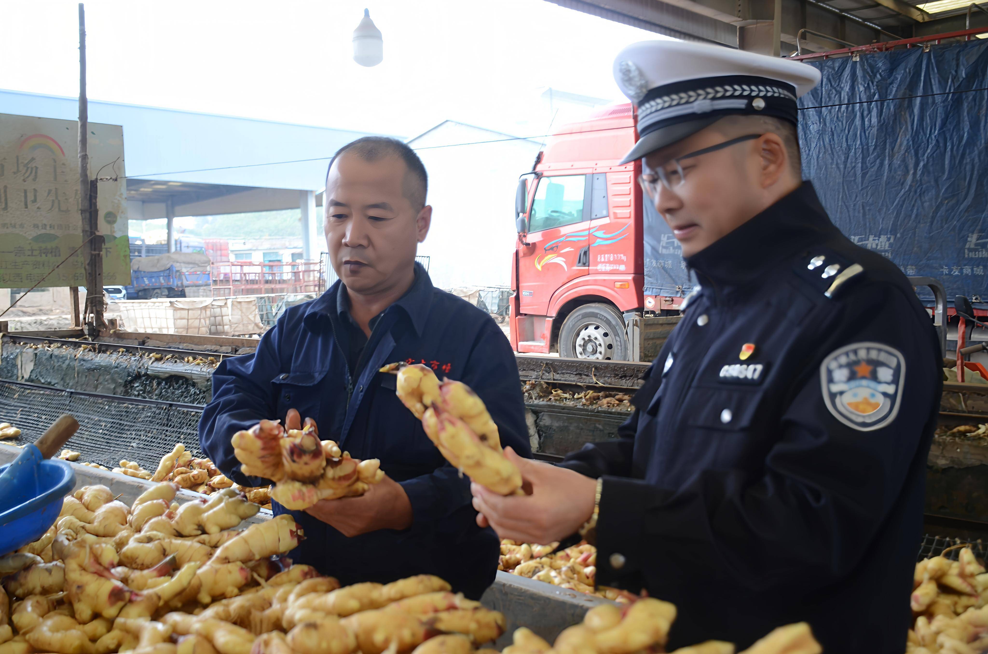 “姜”安全进行到底：昌邑构建“科技+人力”体系，守护10万亩大姜平安运输