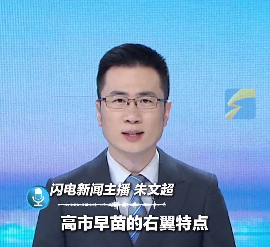 闪电主播评｜高市早苗成“反华急先锋”？玩火者必自焚！