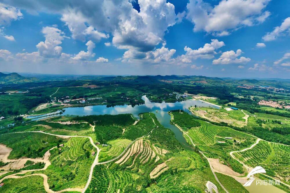 片区化推进乡村振兴，“发展的火种”正在齐鲁沃野“抱团”播撒