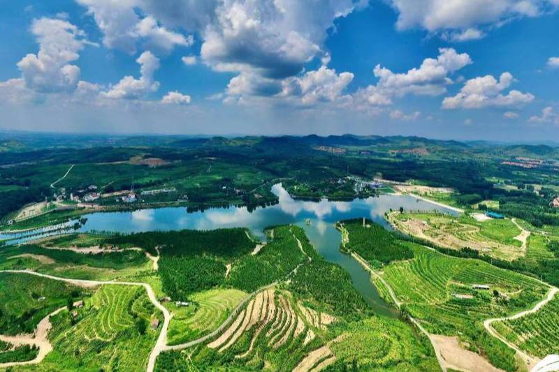 片区化推进乡村振兴的山东实践｜片区化推进的“聚”“连”之道