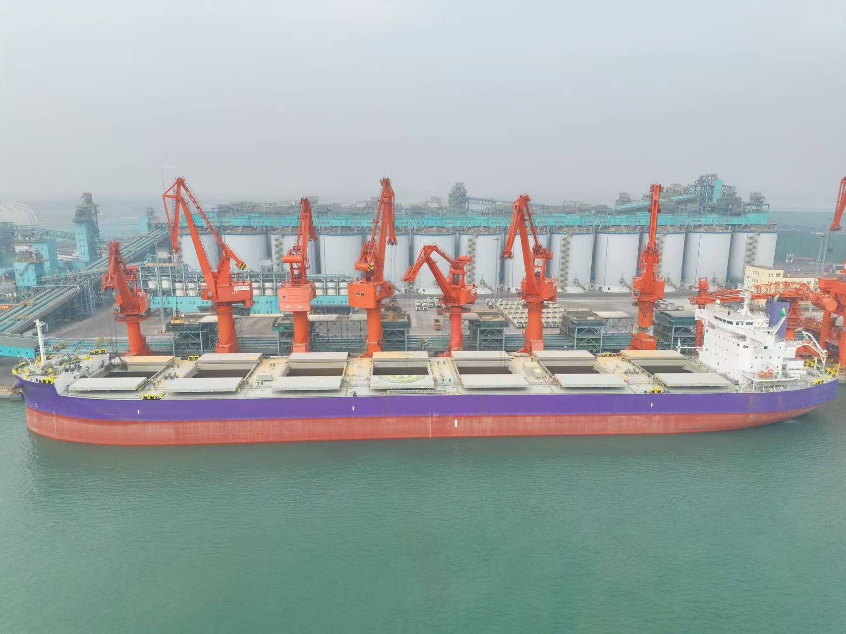 青岛董家口边检站护航青岛港最大吨位进口粮食船高效通关