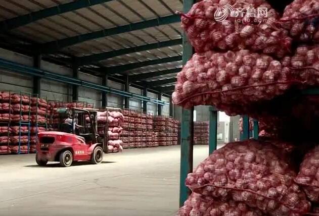 小蒜头长成片区带富大产业｜片区化推进乡村振兴的山东实践