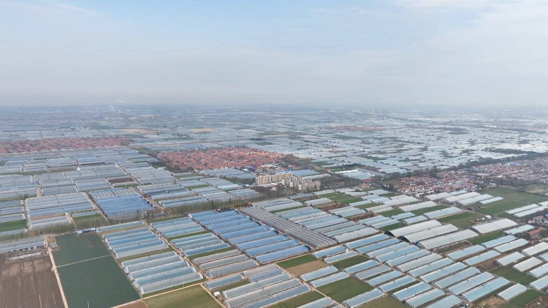 联播关键词｜片区组团发展 带动乡村共富