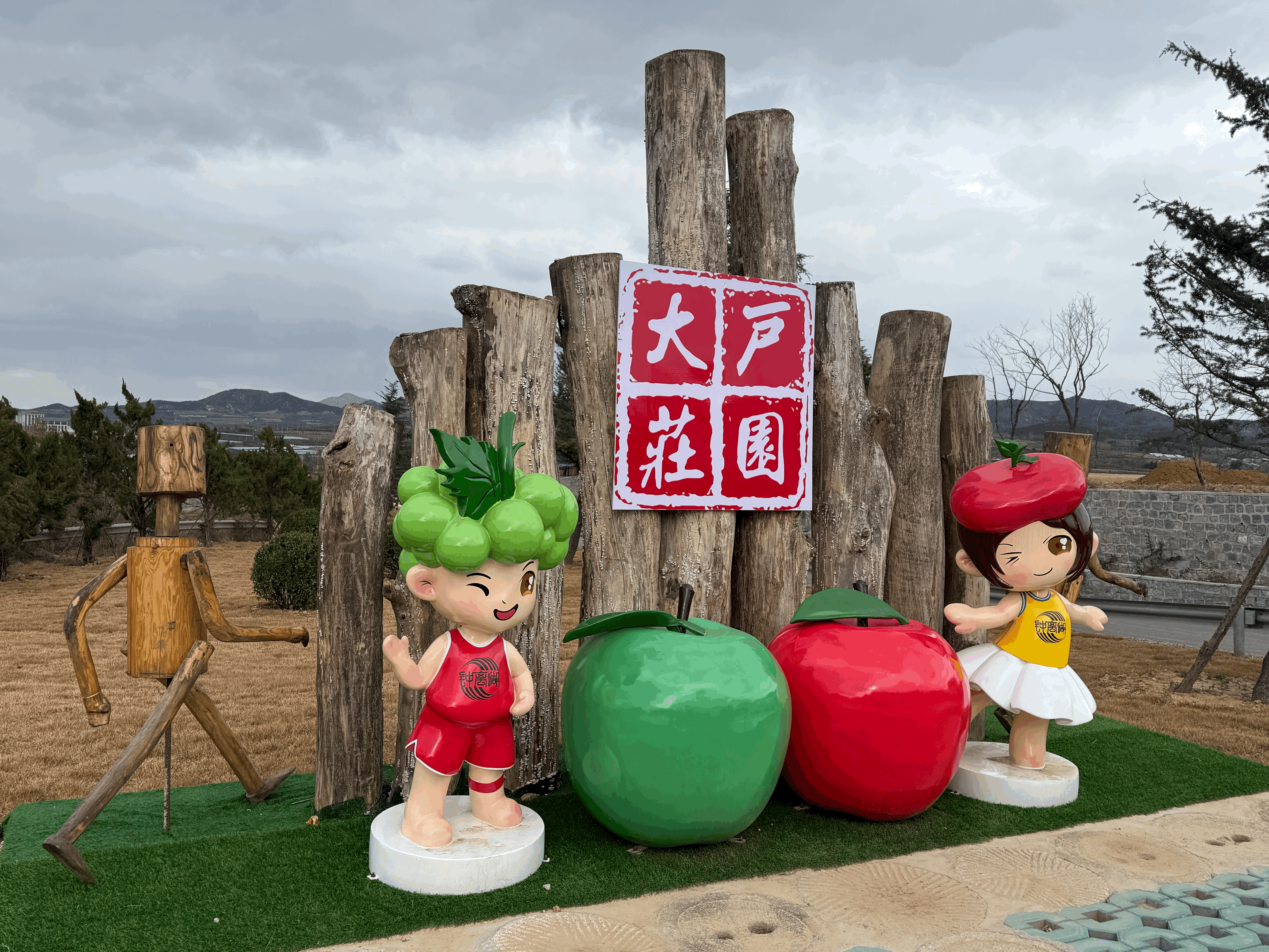 片区化推进乡村振兴的山东实践｜联建聚合力 产业兴乡村 招远大户陈家村片区化振兴的实践答卷