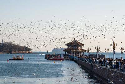 承接“赛后经济”,转化“情绪流量”!全运会后,游客抵青感受“好客山东”