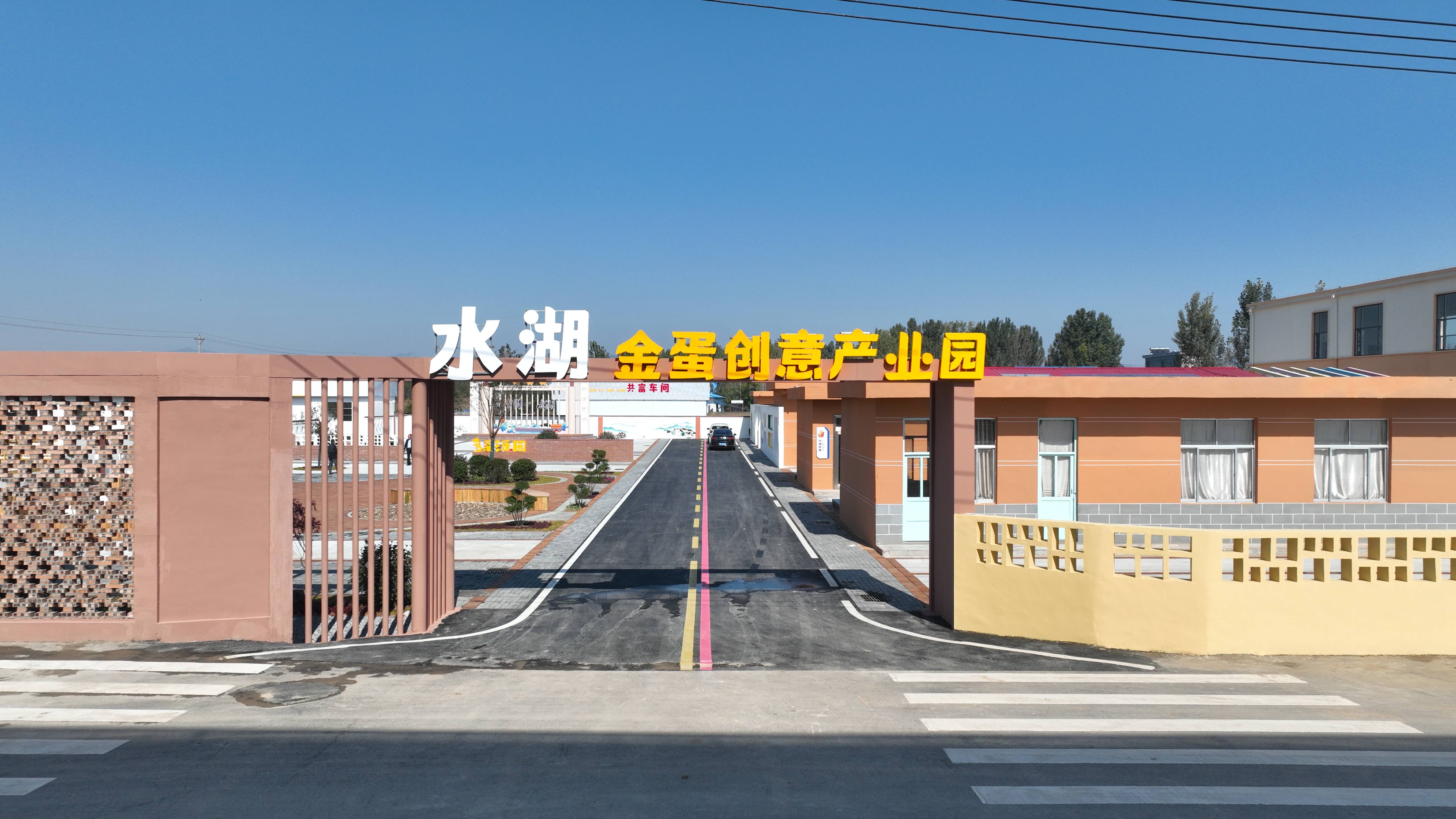 全国每10个金蛋8个来自水湖村 它的名字叫“点石成金”｜片区化推进乡村振兴的山东实践