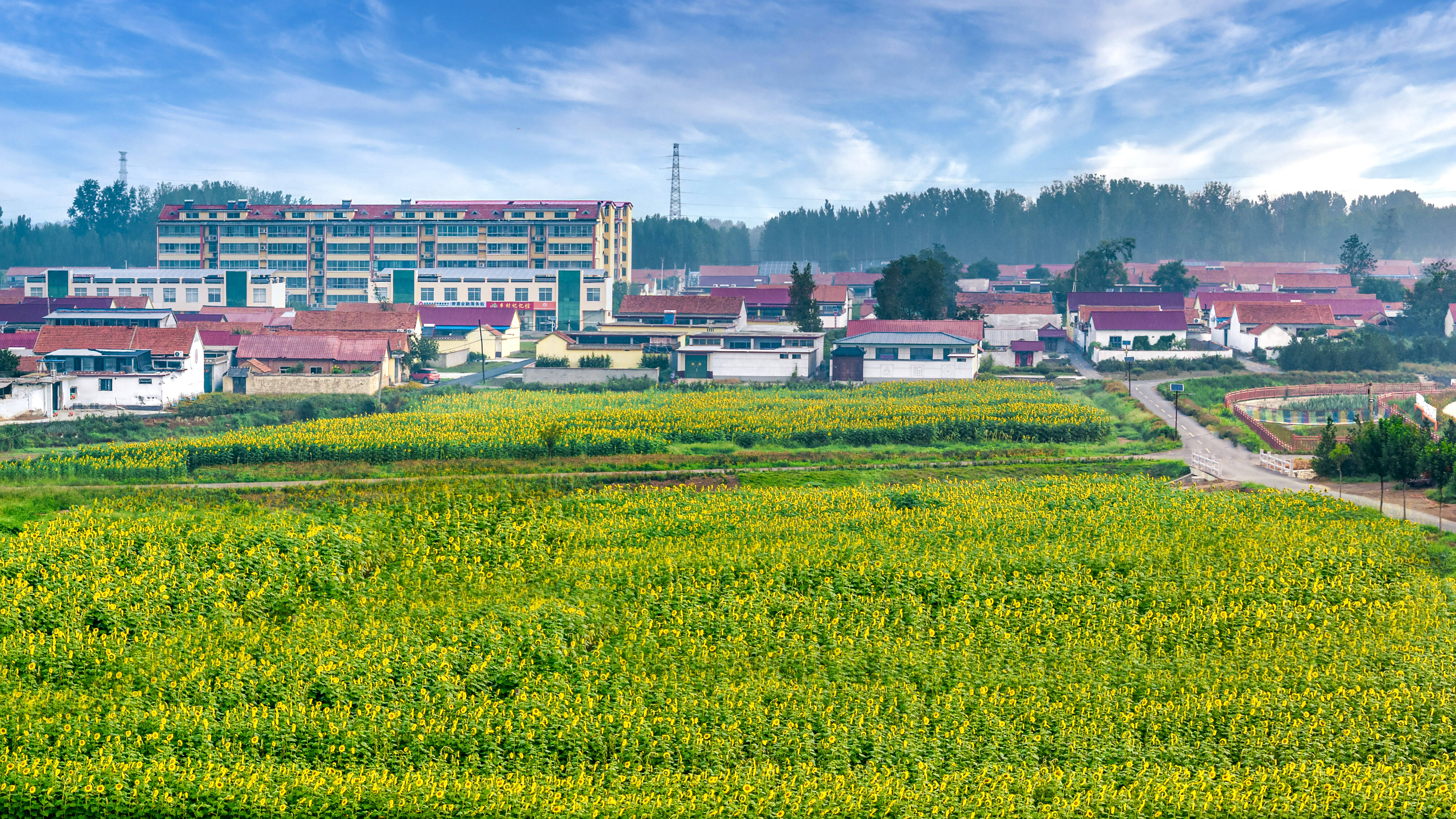 [图文]片区化推进乡村振兴的山东实践 —— 沂水县 “花开长虹” 片区的抱团发展之路 第 3 张