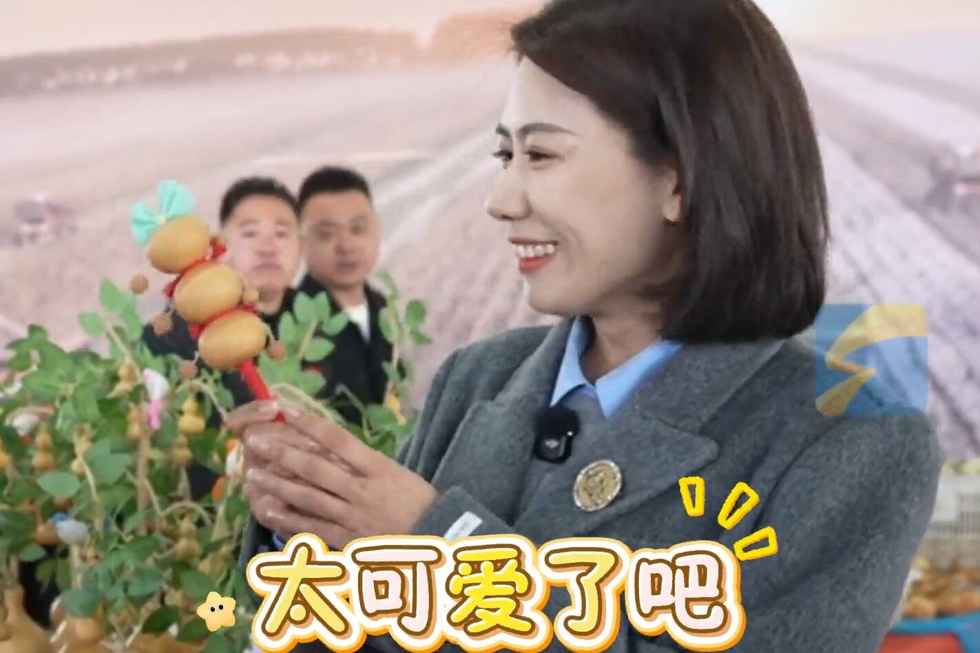 堂邑路庄葫芦大集｜“糖葫芦”款葫芦火出圈 兼具灵动和可爱