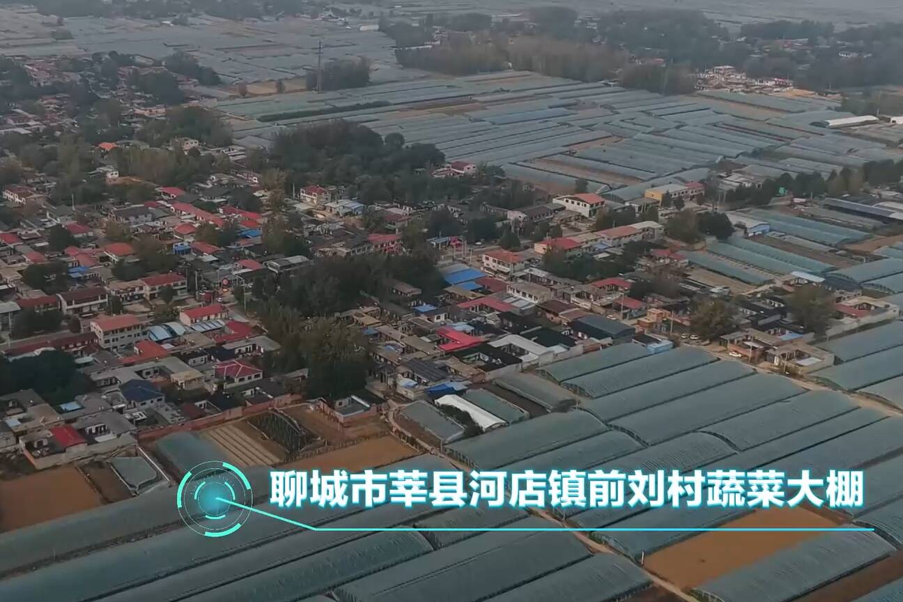 年收入五十多万元！看莘县80后菜农夫妻的“红火”日子