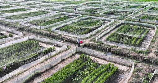 共富试验片区：沂蒙片区化面向未来再升级