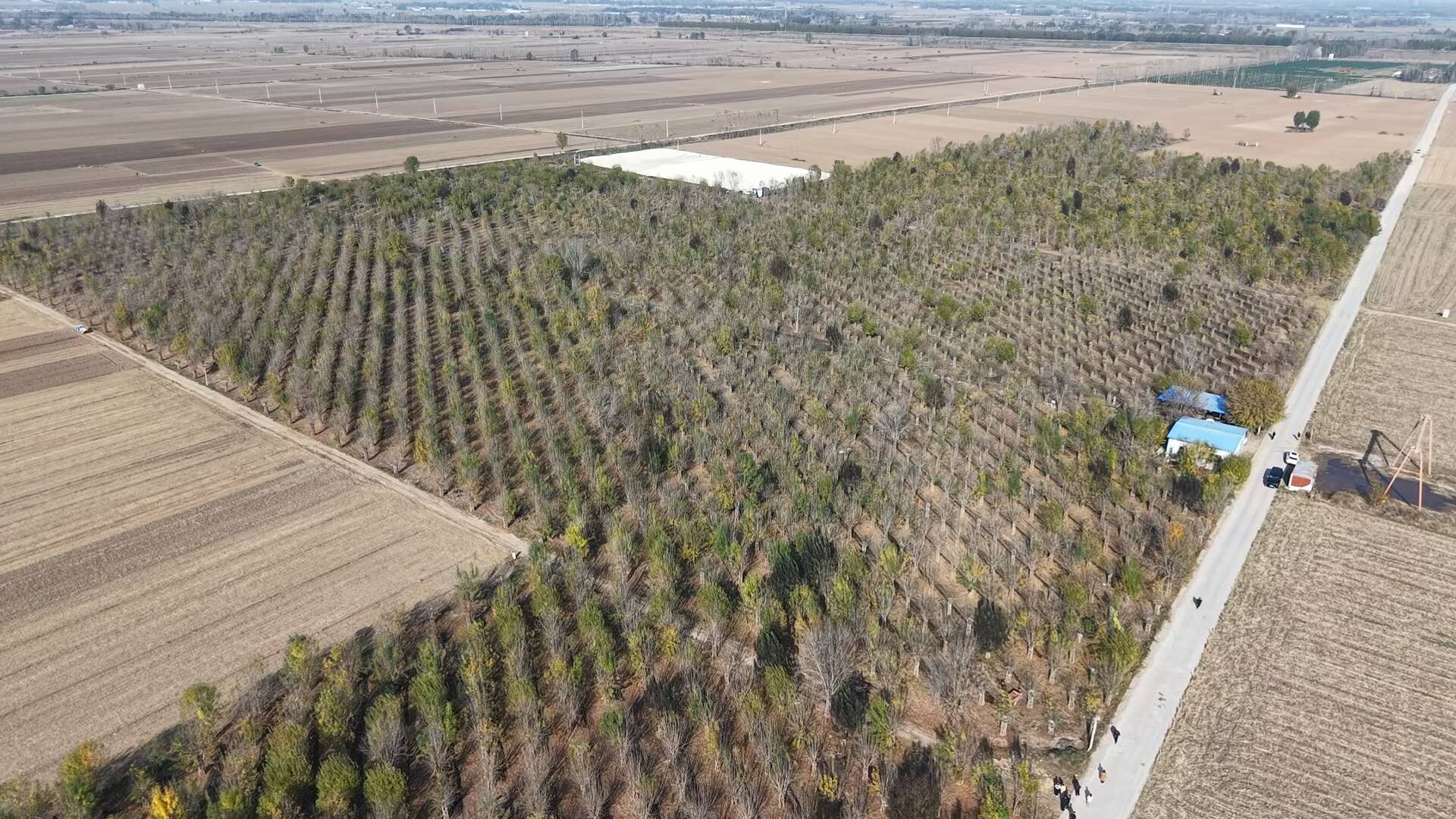 小蚯蚓浑身都是宝！阳谷林下养殖蚯蚓，多元产品串起绿色产业链
