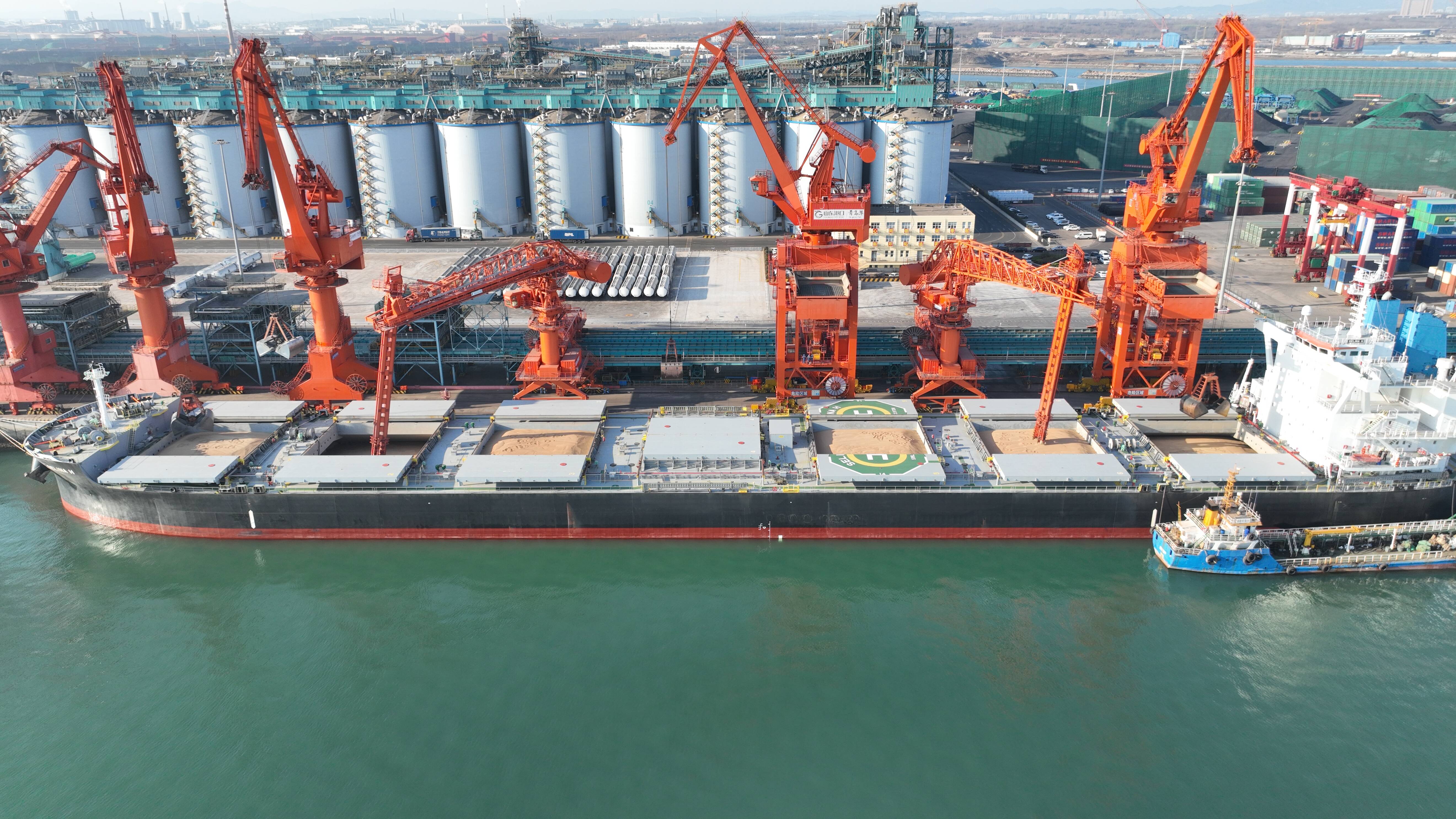 21小时卸完6.8万吨小麦 董家口边检站助力小麦船再破粮食接卸纪录