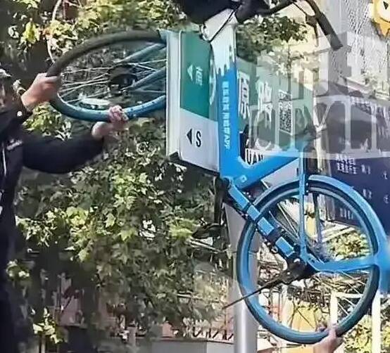 闪电主播评｜平顶山市惊现“空中共享单车” 这不是行为艺术，而是城市文明的一道疤！