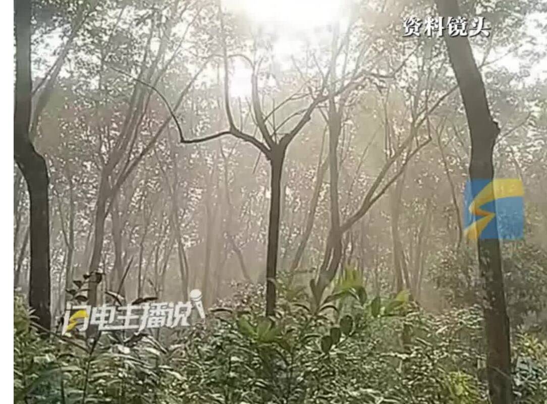 闪电主播评|云南文山“荒野求生”大赛被官方叫停 为这份对生命的敬畏点个赞!