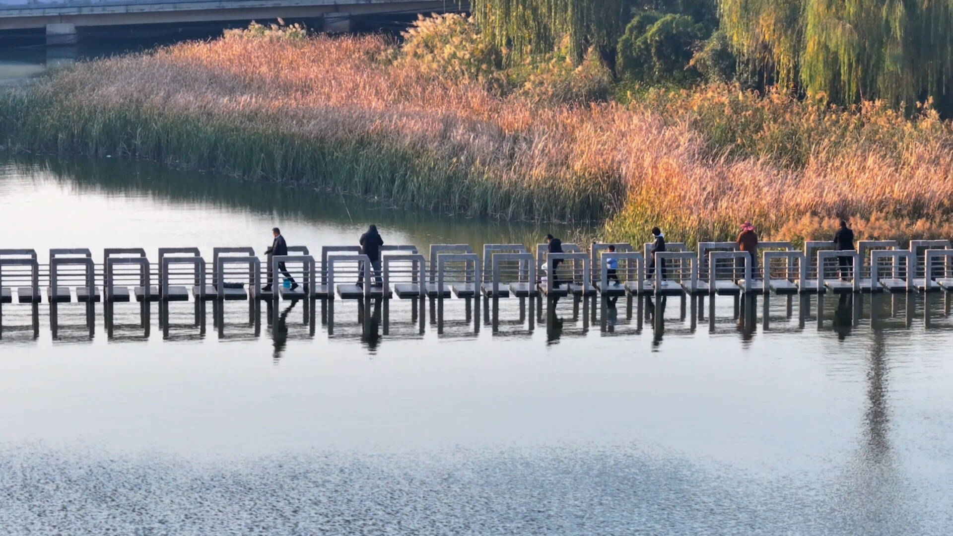 打卡枣庄薛城初冬C位 龙潭公园成市民晨练休闲好去处