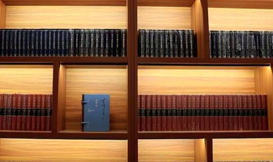 走在前 挑大梁·文化“两创”担使命丨大型文脉工程《齐鲁文库》：立起新时代“文化泰山”