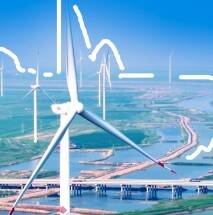 蝶变升级 绿动齐鲁！看德州、聊城、滨州、菏泽的绿色转型